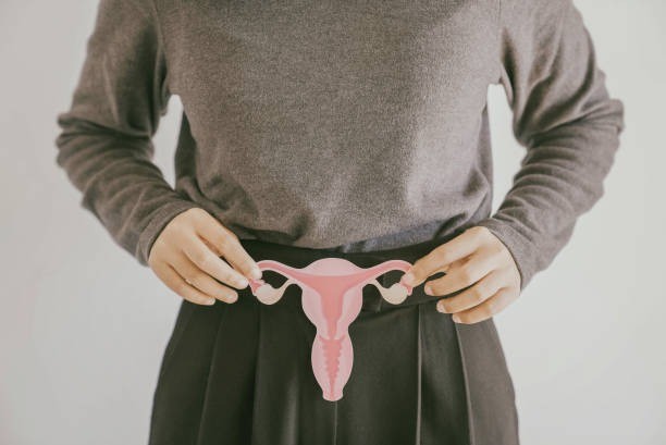 mikroplastik di ovarium, mikroplastik perempuan, dampak mikroplastik pada kesuburan, hormon FSH, kesehatan reproduksi wanita, plastik dalam tubuh, partikel mikroplastik, promil dan mikroplastik, endokrin disruptor